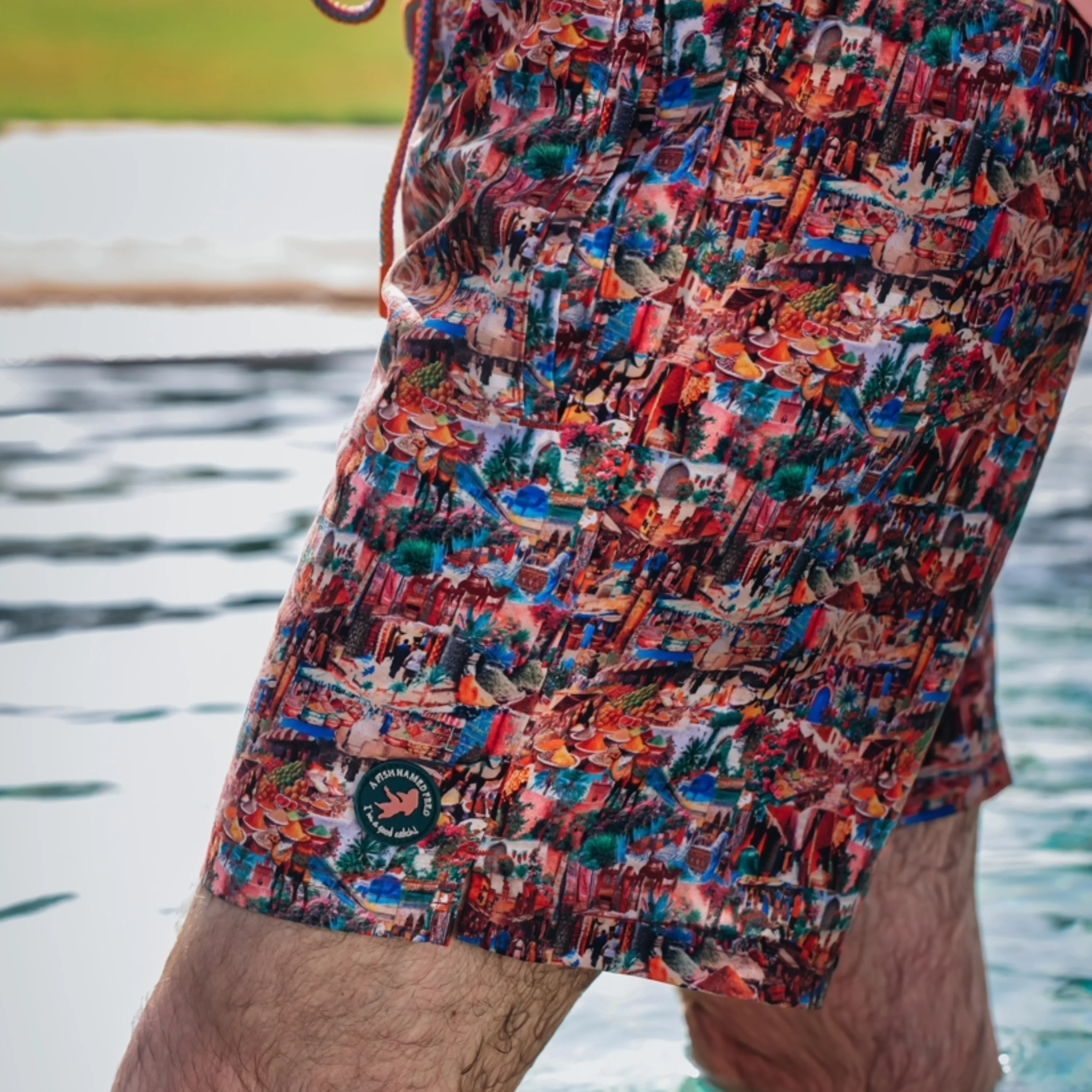 A Fish Named Fred Swim Shorts - Multi