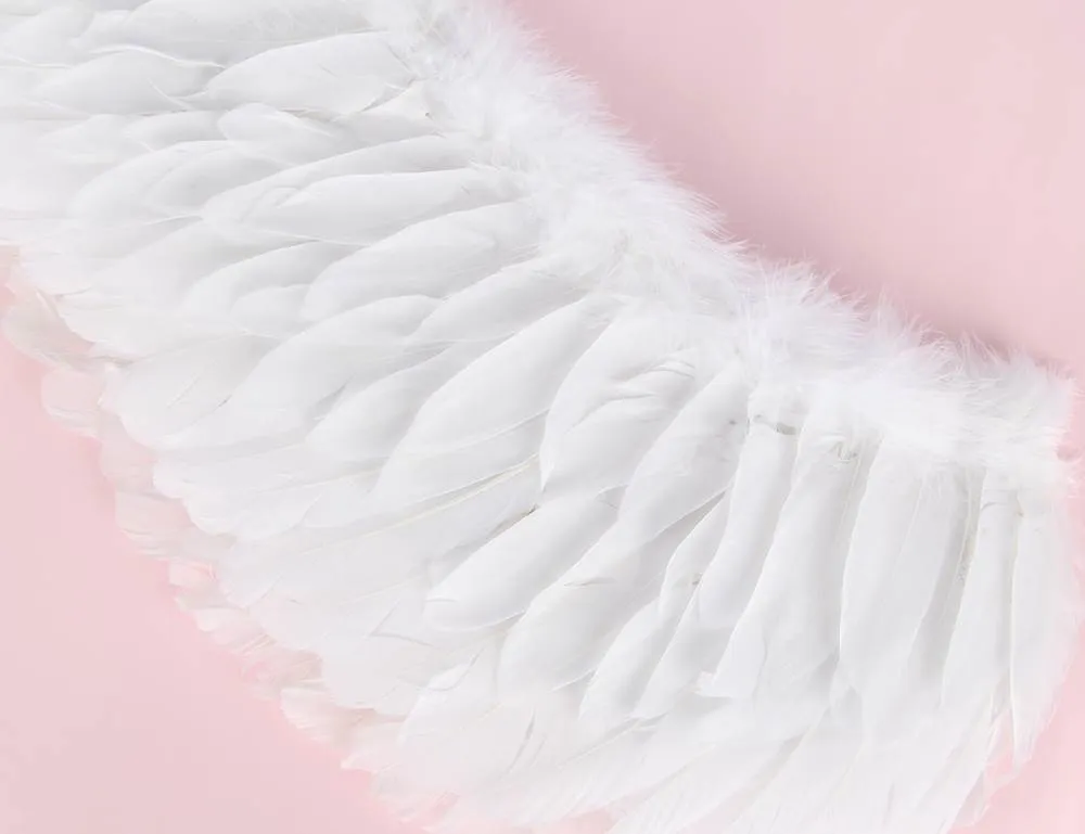 Angel Feather Wings Decoration White & Black Lace Sexy Bodysuit