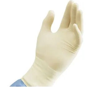 Bastion Glove 100pk Latex Powder Free Large