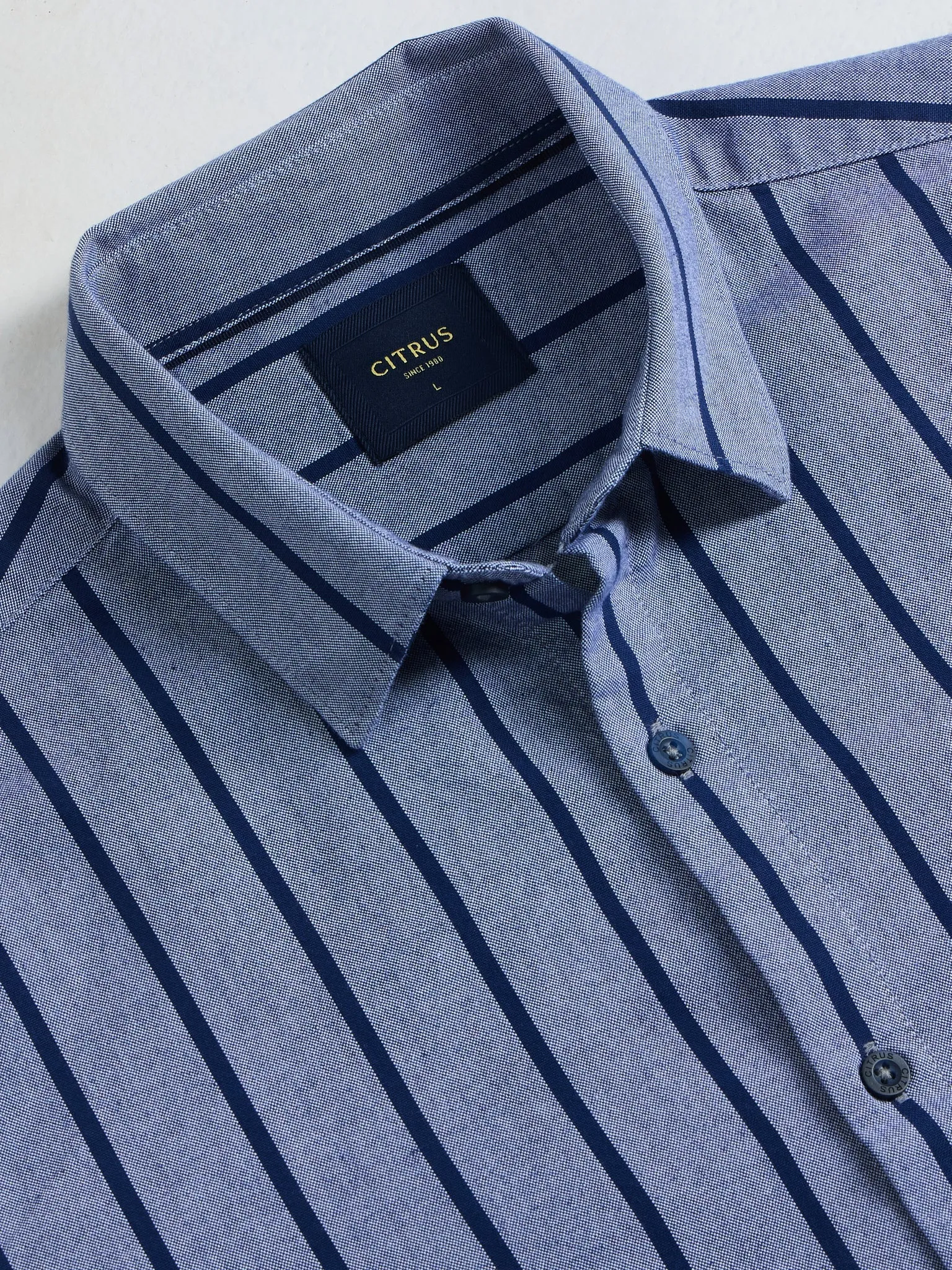 Blue Striped Slim Fit Casual Shirt