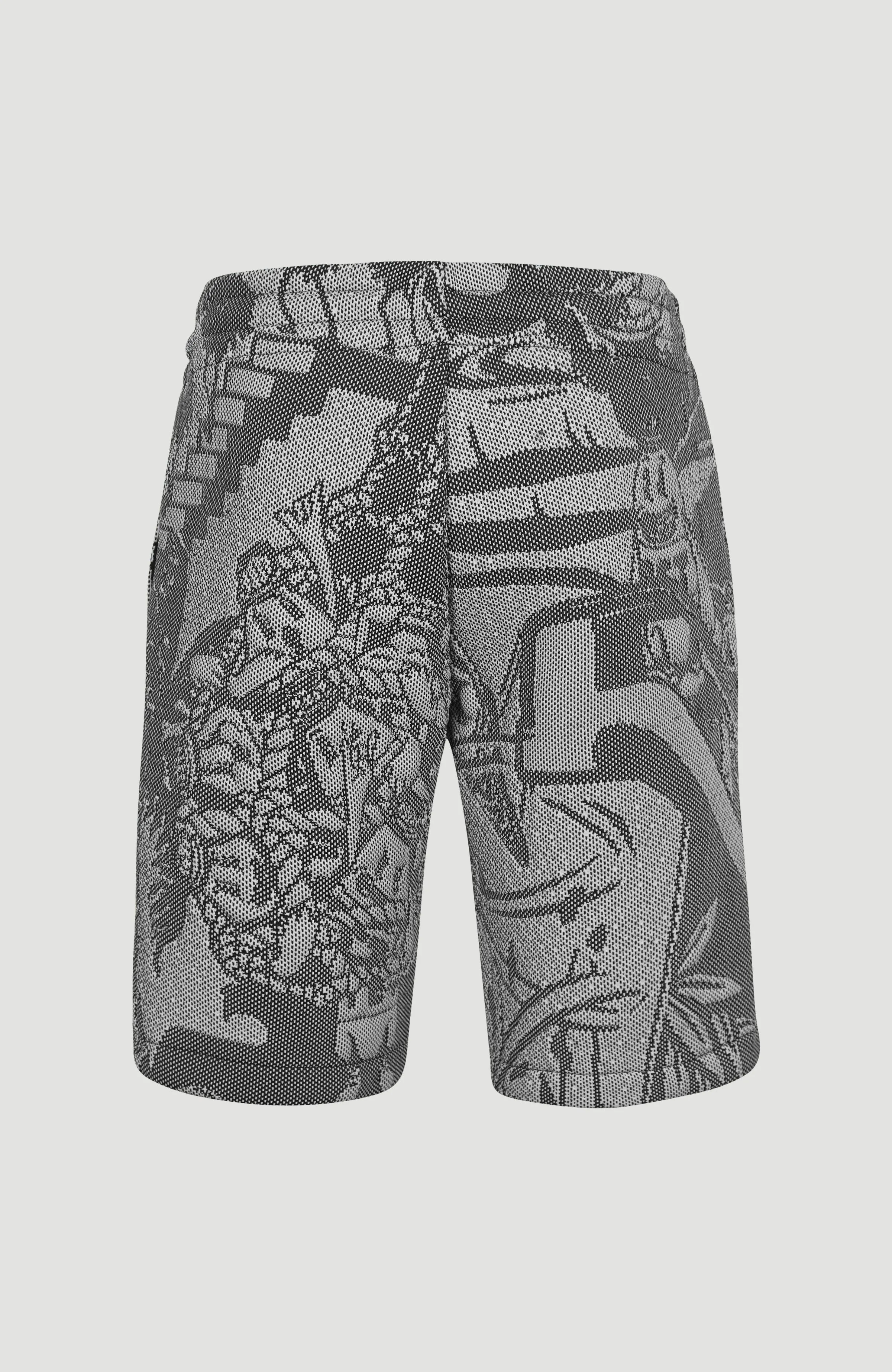 BYBORRE x O'Neill Shorts | Black Oyster