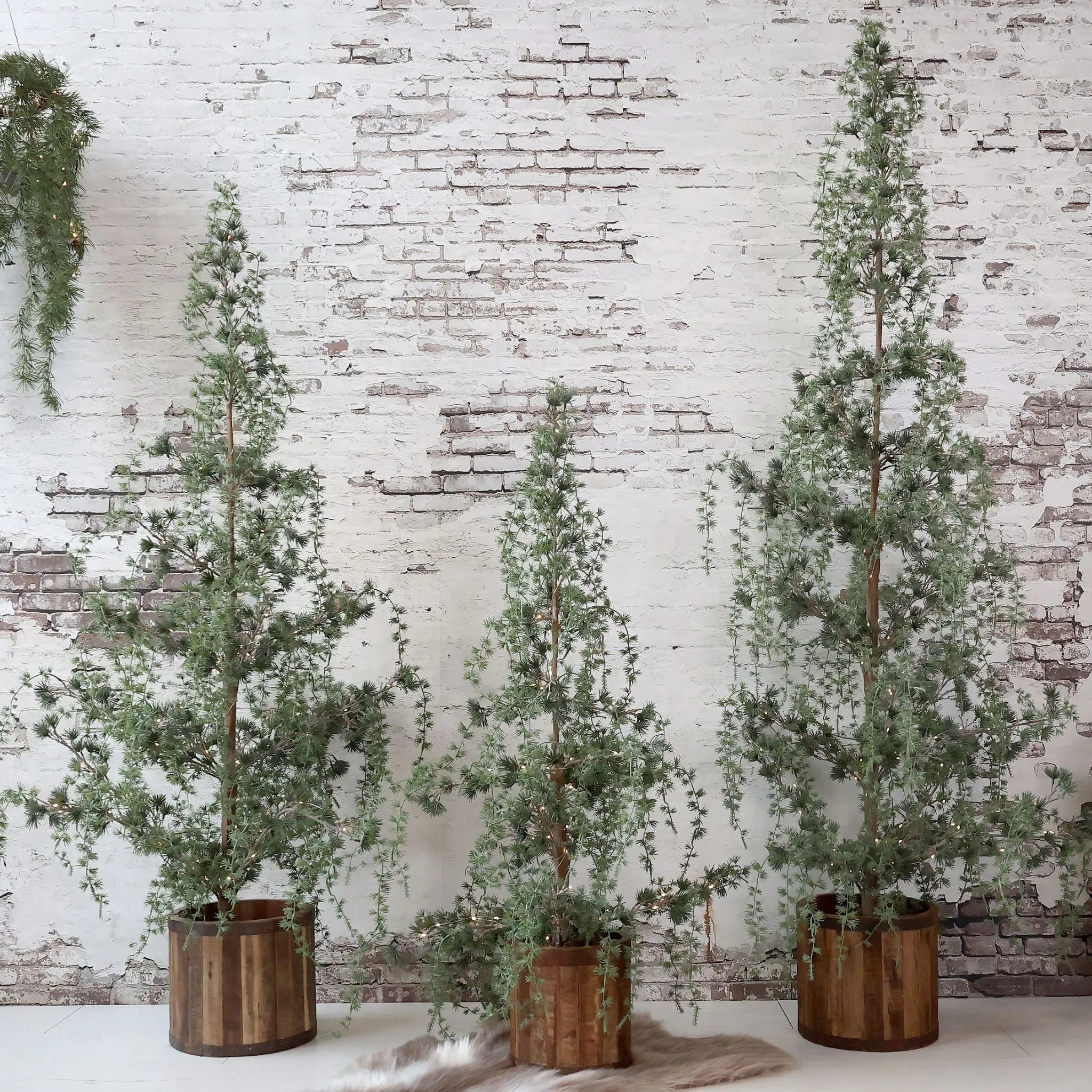 Chic Antique Fleur Grantræ med LED lys - Flere størrelser