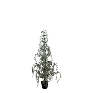 Chic Antique Fleur Grantræ med LED lys - Flere størrelser