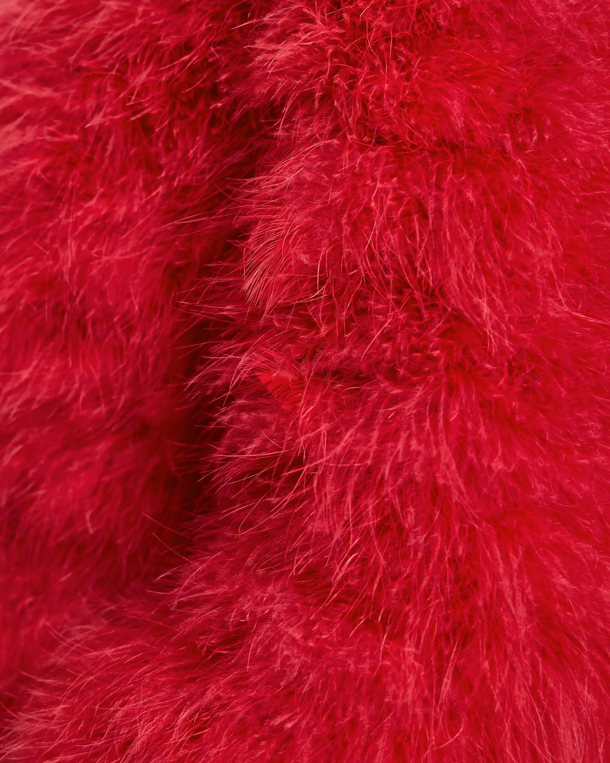 Collarless Feather Bolero