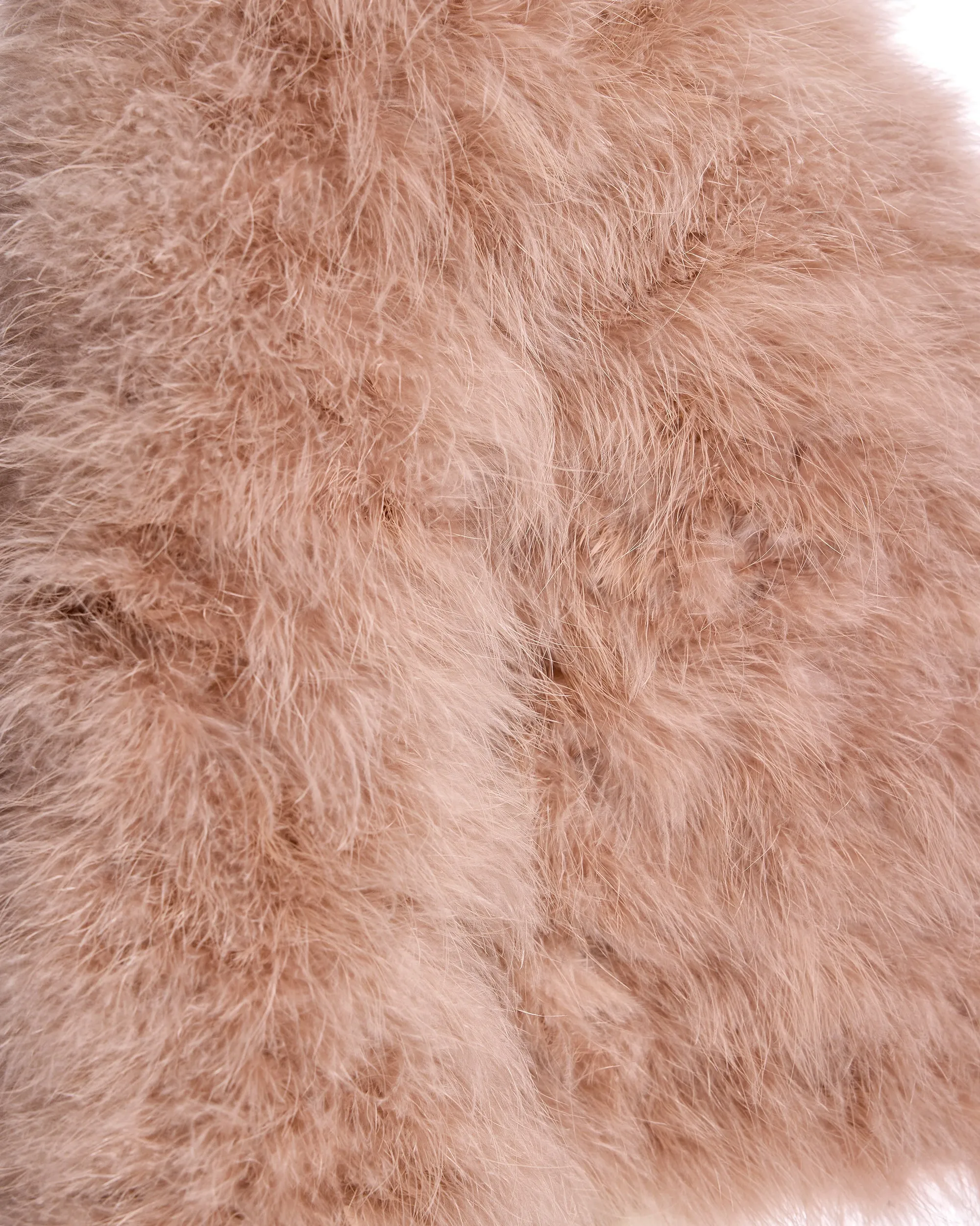 Collarless Feather Bolero