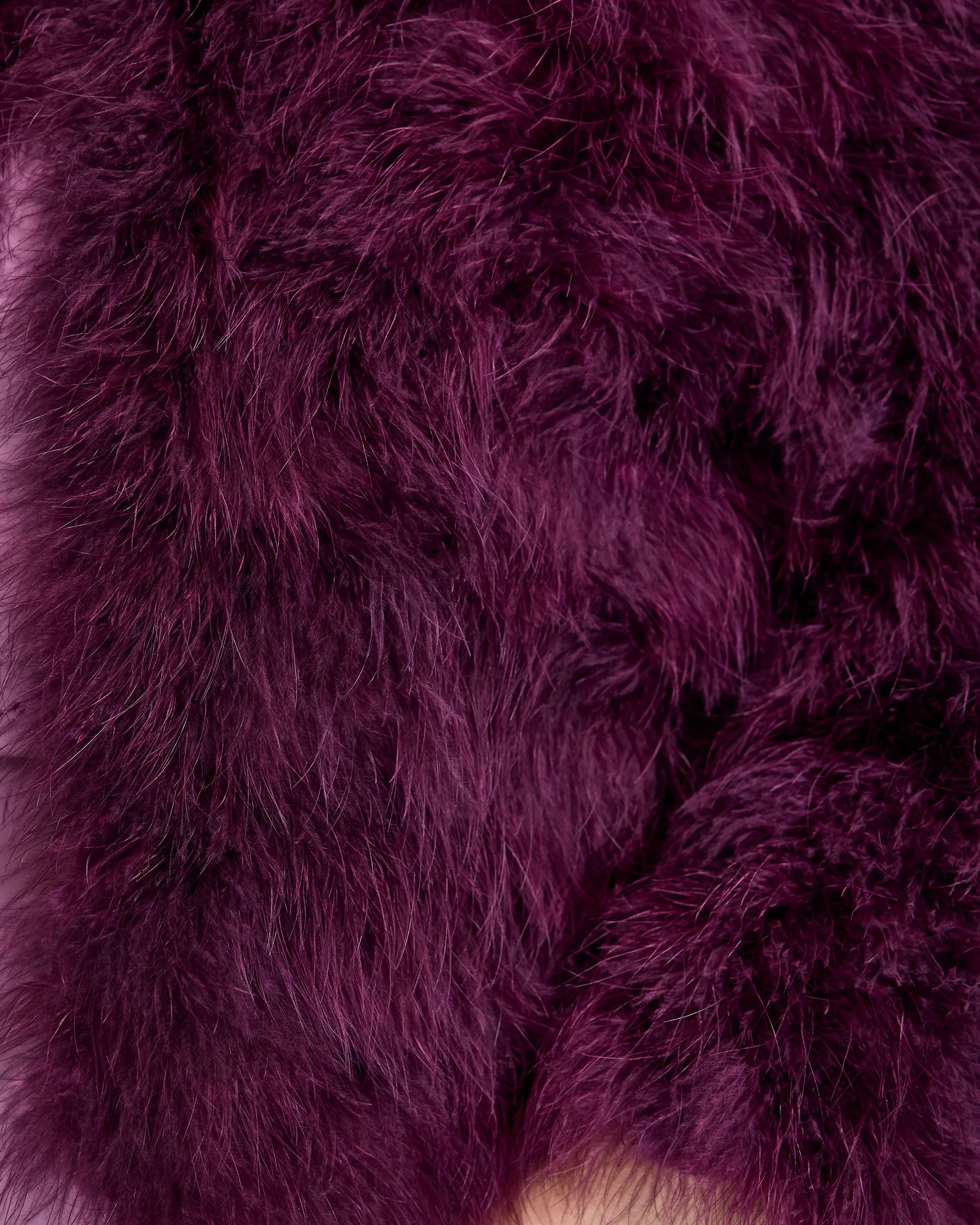 Collarless Feather Bolero