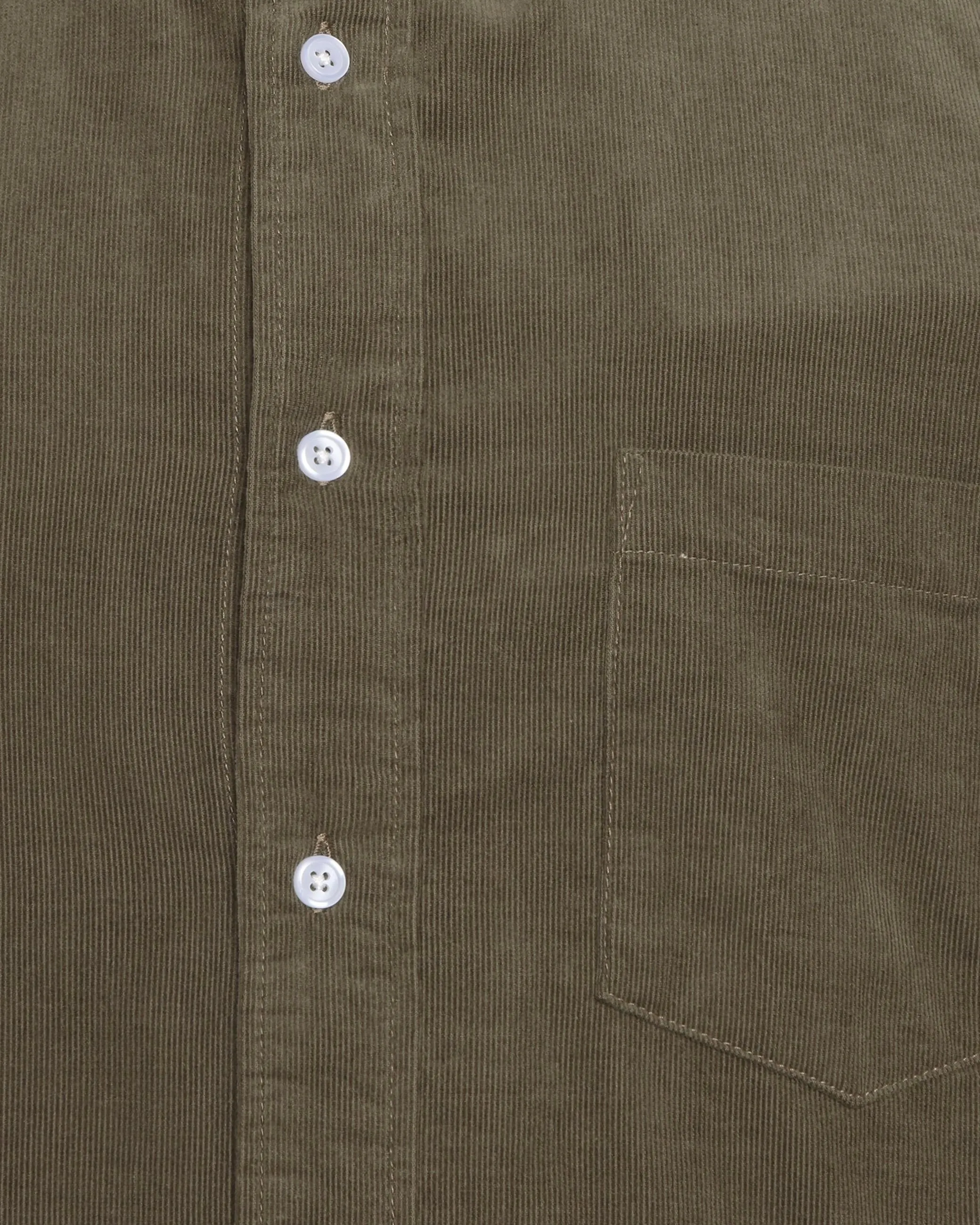 Colt long sleeved shirt 3758 - Dusty Olive