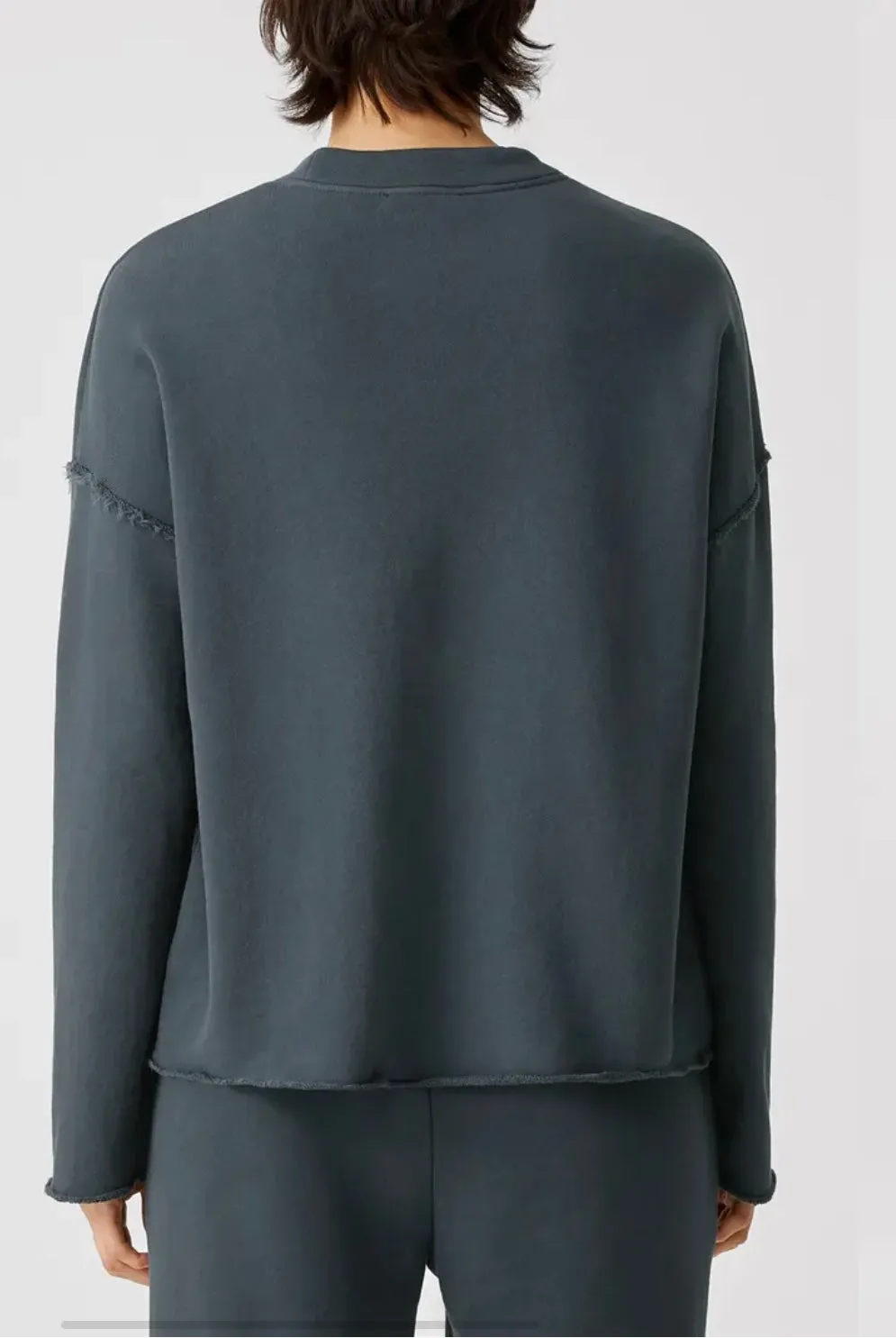 Eileen Fisher Crewneck Boxy Organic Cotton Sweatshirt