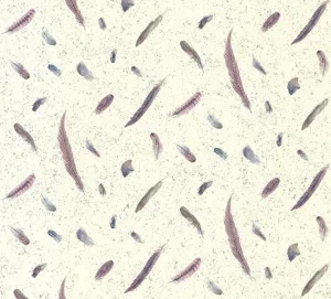 Feather Violet KS22835 Wallpaper