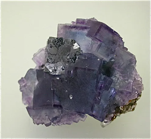 Fluorite and Galena, Rosiclare Level, Main Orebody, Denton Mine, Ozark-Mahoning Mining Company, Harris Creek District, S. Illinois, Mined 1989, Kalaskie Collection #42-139, Miniature 3.0 x 3.5 x 4.0 cm, $65. Online 1/12.