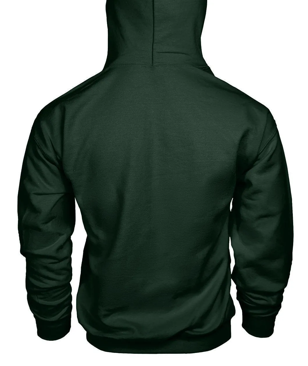 Kawasaki Hoodie