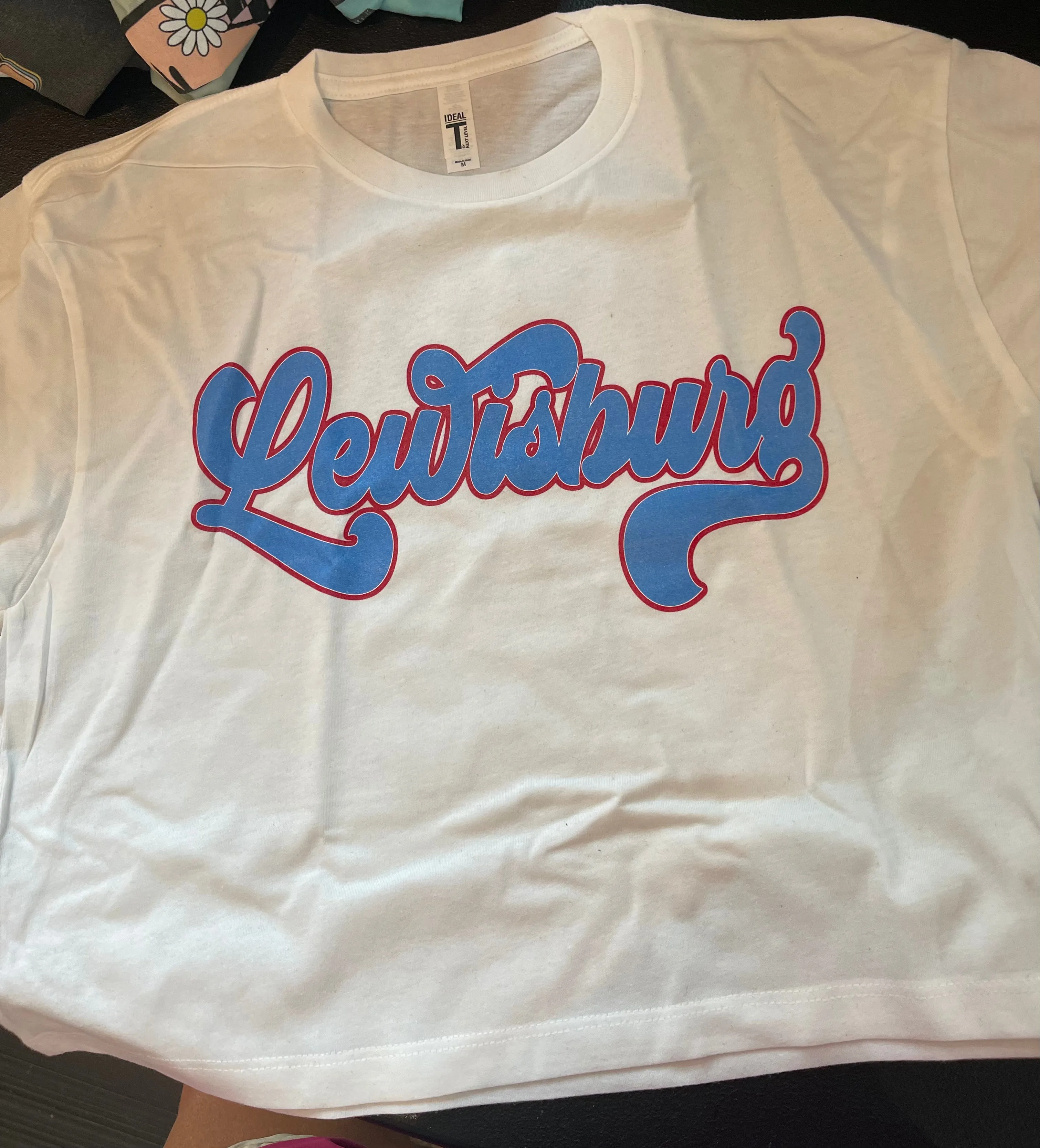 Lewisburg Shirt / School Shirts/ White Script Lewisburg Tee/ Full Shirt or Cropped Tee