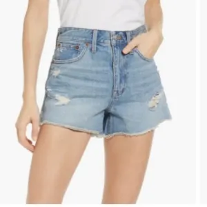 Madewell Relaxed Denim Shorts Destructed Edition in Renfield Wash 32