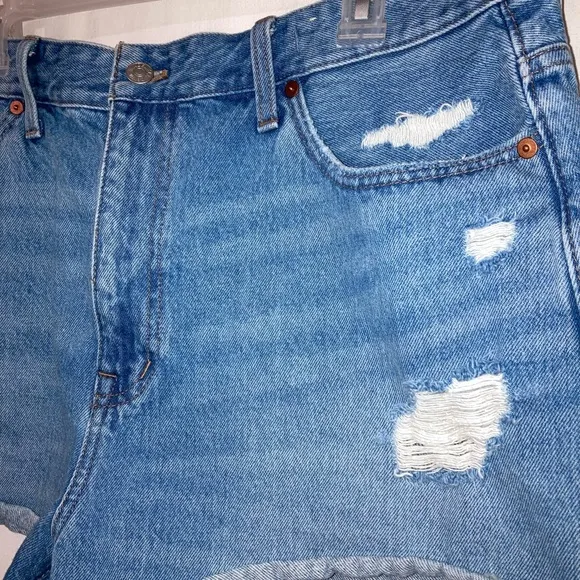 Madewell Relaxed Denim Shorts Destructed Edition in Renfield Wash 32