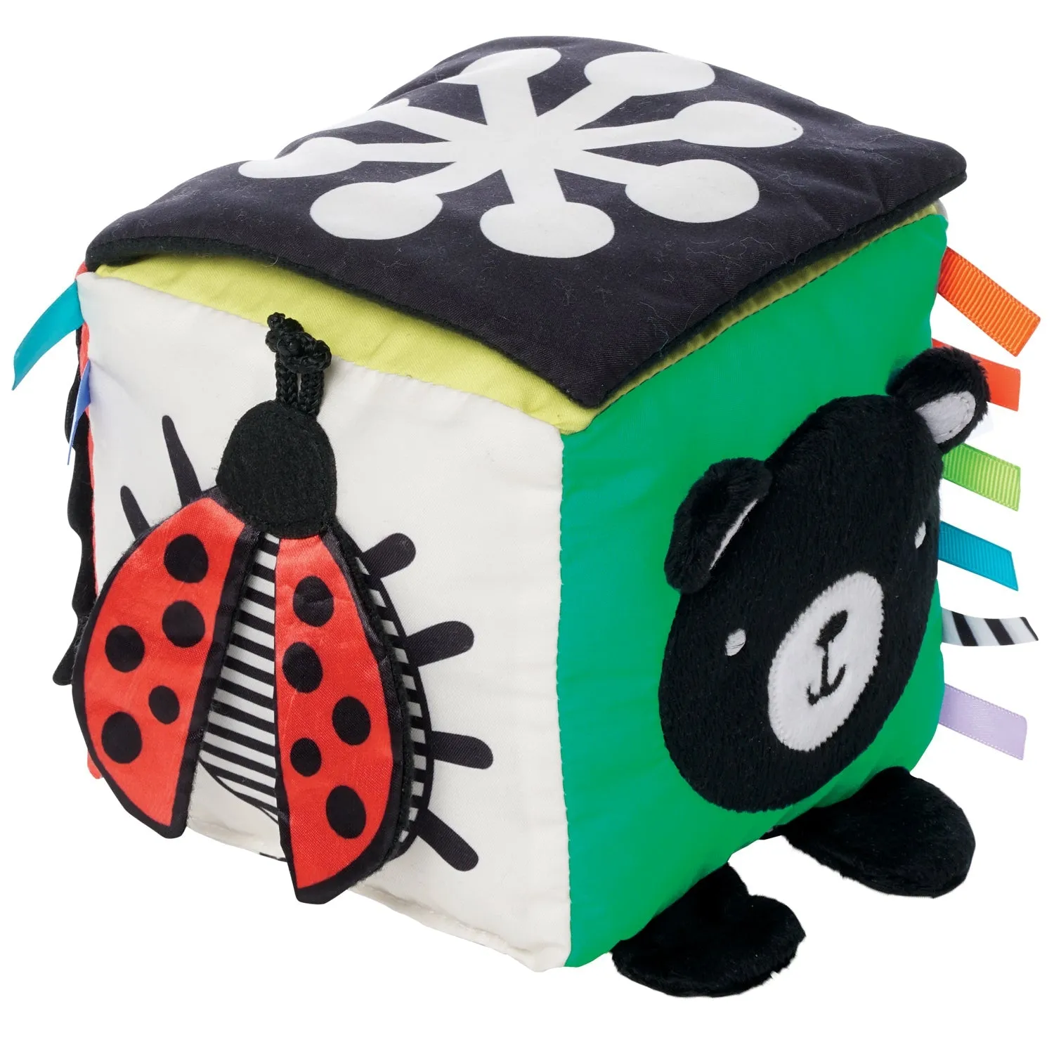 Manhattan Toys Wimmer Discovery Cube