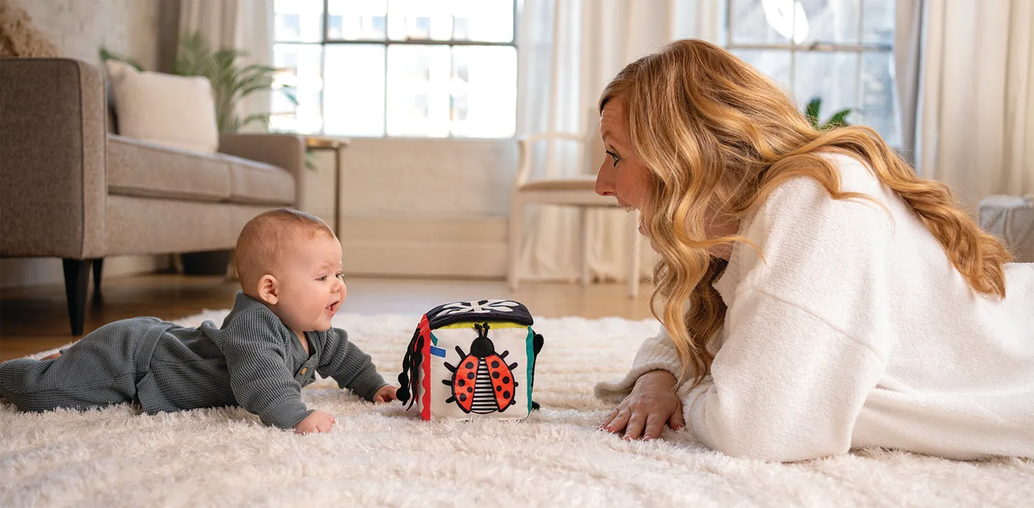 Manhattan Toys Wimmer Discovery Cube