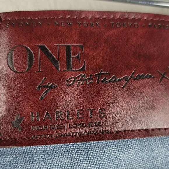 One X One Teaspoon Harlets High Rise Exposed Button Fly Jean Shorts 27