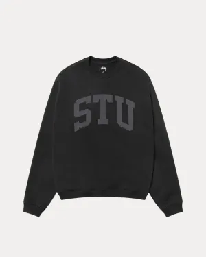 STU APPLIQUE CREW