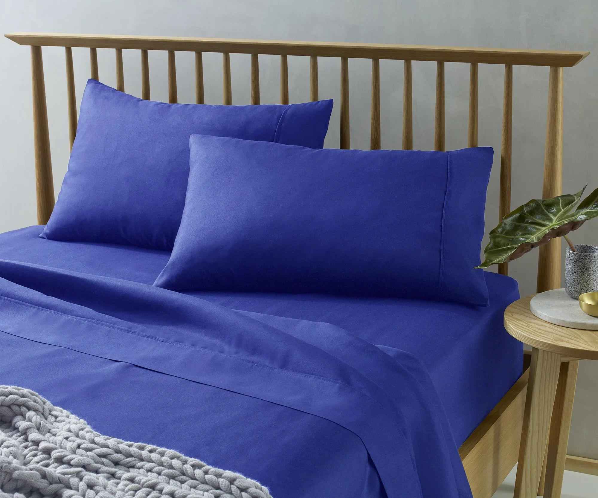 The Big Sleep Microfibre Royal Blue Sheet Set