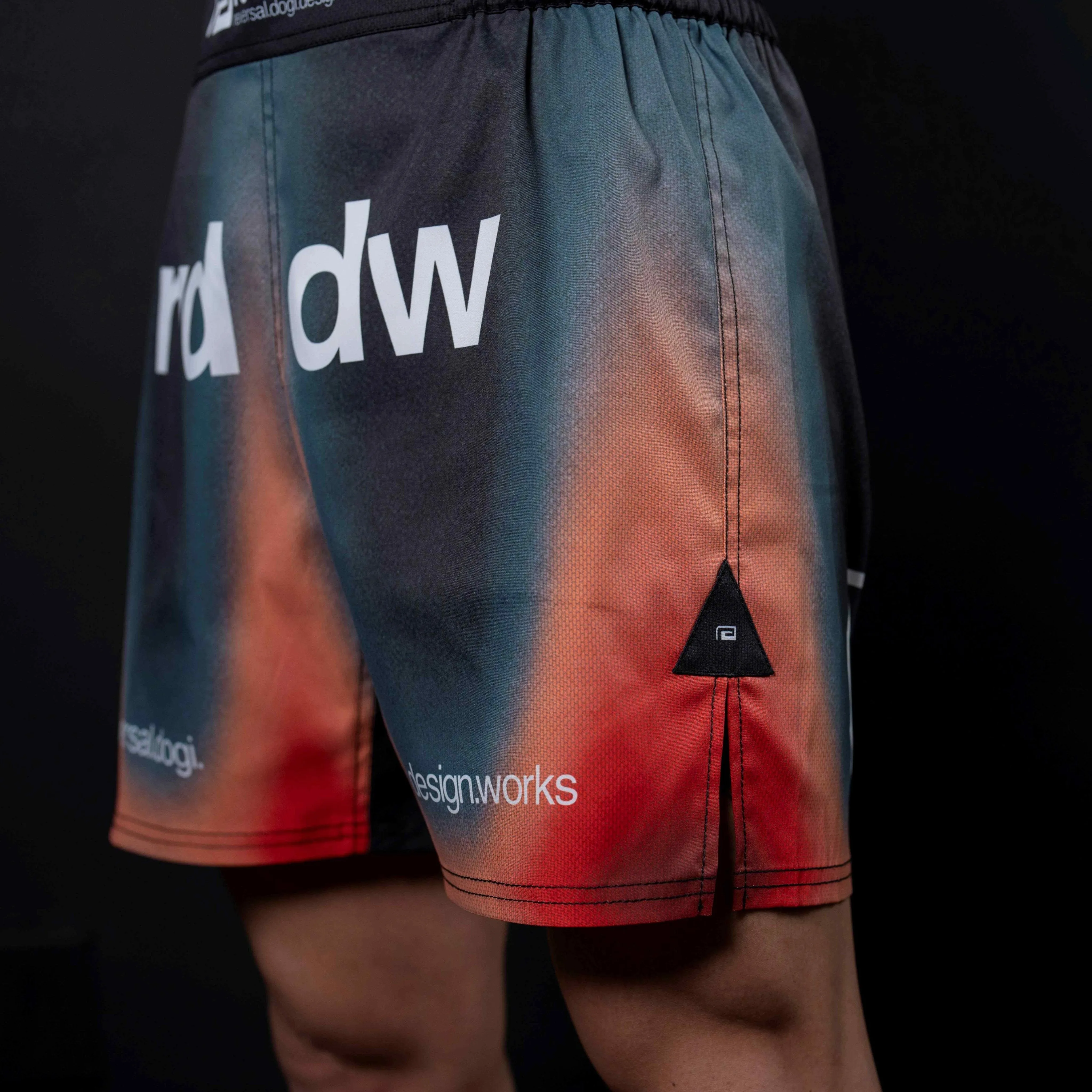 Thermography Fight Shorts