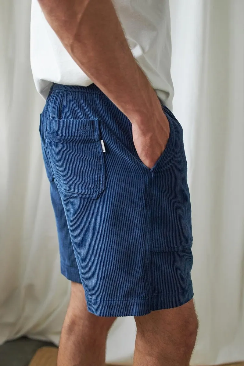 Tilgo Shorts Navy Blue