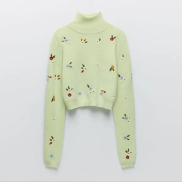 Zara Embroidered Cropped Sweater in Light Green