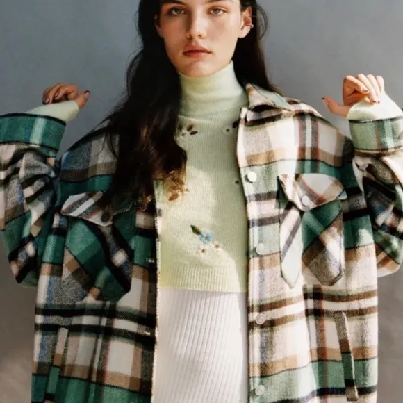 Zara Embroidered Cropped Sweater in Light Green