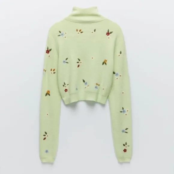 Zara Embroidered Cropped Sweater in Light Green